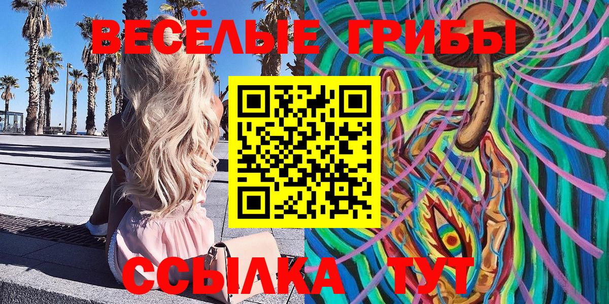 Дзержинский  Псилоцибиновые грибы MAGIC MUSHROOMS  Вход с VPN 
